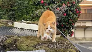 そりゃそうだよね、お互い気になっちゃうよね