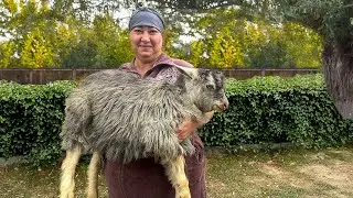 Village Life | Whole Goat Stuffed in a Tandoor | It looks very delicious!