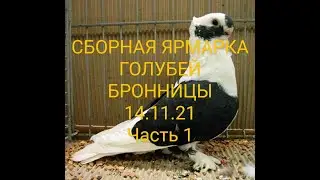 СБОРНАЯ ЯРМАРКА ГОЛУБЕЙ. БРОННИЦЫ.14.11.21. Ч.1