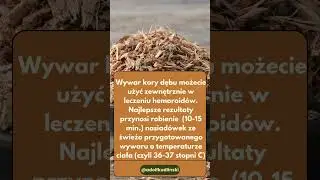 Masz problem hemoroidami, kora dębu może cie wspomóc #preppers #zielarstwo #czywieszże