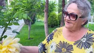 Полгода уже скитаюсь по Европе как беженка в 70 лет . Не думала что так будет