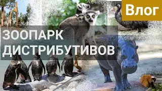 Влог. Где взять время на установку системы? Зоопарк дистрибутивов Linux в реальном мире.