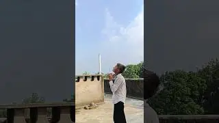 Kabutar Kai pair par bled lagaya 😱🕊️ 