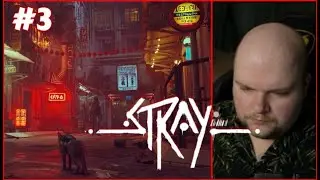 [#3] Помощь роботам - Stray (Нарезка стрима zhenya_dota2)