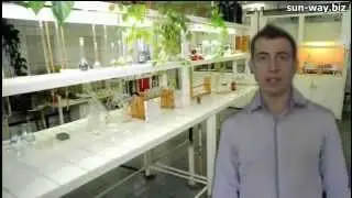 Сан Вей Витграсс  Solar Energy