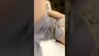 #أنجي