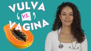 Your intimate area: Everything about the vulva, clitoris, and more! | DR. FLOJO