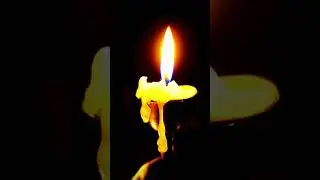 #крокусситихолл