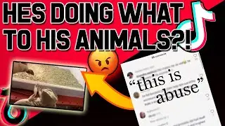 Exposing a Bad Reptile Keeper ┃Tik Tok Animal Ab*se