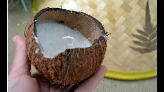 8. Кокосовая свеча своими руками.