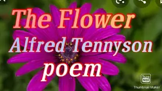 The Flower poem by Alfred Tennyson