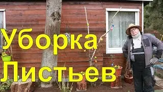 Дача.Уборка листьев.Огород Баварский.