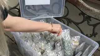 Образы гальки и каменной крошки для ландшафтного дизайна