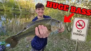 Catching MASSIVE Bass Out Of College Pond!
