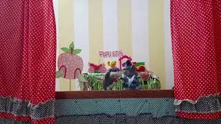 Зайчик Сева потерялся.