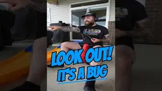 The Largest Bug I've Ever Seen | LOOK OUT!