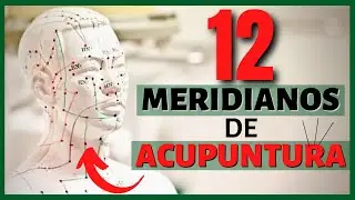 ☯ 12 MERIDIANOS o Canales de la ACUPUNTURA ☯ Qué son los Meridianos Energéticos y Cuál es su Función
