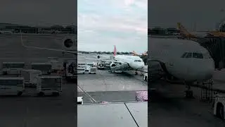 PHILIPPINE AIRLINES A321 AIRCRAFT AT SUVARNABHUMI AIRPORT #travel #airport #aeroplane #airplane #fyp