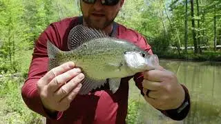 Ultralight Fishing (Ep. 1) - Quiet Creek