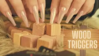 ASMR Best WOOD Tapping & Scratching Collection (No Talking)