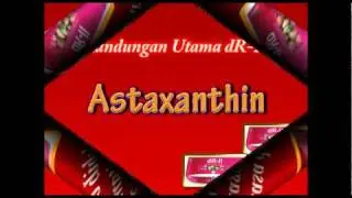 dR Rozmey : Keajaiban Kandungan dR-II
