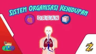 Organ || Sistem Organisasi Kehidupan [ Part 4 ]