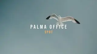 Palma | spot ganador