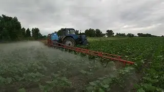 Обприскування соняшнику  Саксон гербіцидом Геліантекс, дія гербіциду на соняшник та бурьяни за добу