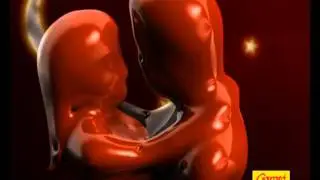 Garoto - Serenata de Amor