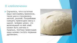 Как появились каша и хлеб ч. 2 история 6 кл