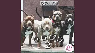 OGITO - ACTIVATED