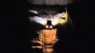 Яркий задний ход.