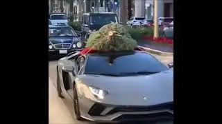 Transporting a Christmas tree on a Lamborghini