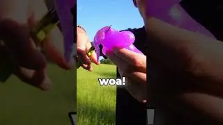 ROZSTŘIHNUL jsem TO! 😱 