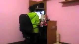 Шикарно! Дрессированная киса!