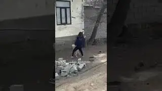 Драка Огромного Медведя и Волкодава! Сила против духа!