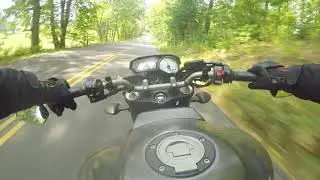 Yamaha FZ8 Pure Sound [Sc Project]