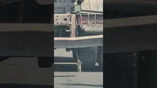 20 мая 2024 г.