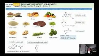Mushroom nutrient requirements (Agar media making)