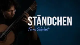 SERENADE (Franz Schubert) - Luis Leite