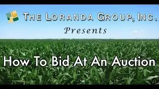 How to Bid at an Auction