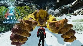 A Guide to the Megapithecus- Ark Survival Ascended [Episode 8]