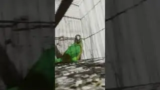 caixa d'água 2024🦜🫵
