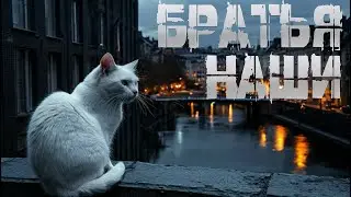 БРАТЬЯ НАШИ | СТРАШНАЯ ИСТОРИЯ НА НОЧЬ | МИСТИКА