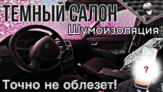 ТЕМНЫЙ САЛОН НА ПРИОРУ |  Шумоизоляция дверных карт | Доработки салона