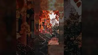 Обои на телефон часть 9 тг: @CherdakKrestu #обои #autumn #осень #fyp #рек #shorts #часть9
