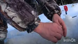 Рыбалка на жерлицы,река Ухра.