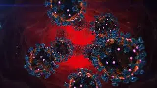 17 minutes| meditation | music | stress relief | initiative signal outcomes occur from your heart