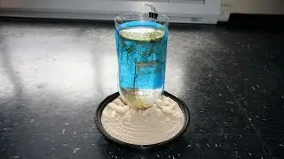 Zen Garden Aquarium DIY