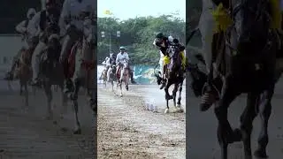 Line Neza Bazi || Team Of Four With Sword || Sultan International Neza Bazi Tournament 